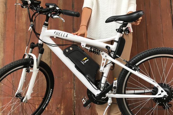 e-bike-- (5)