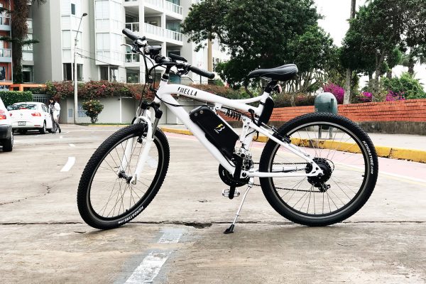 e-bike-- (8)